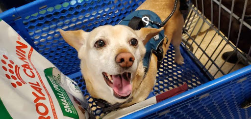 Pet Supply Store «PetSmart», reviews and photos, 16086 Jackson Creek Pkwy, Monument, CO 80132, USA