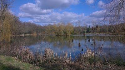 Lac de Laneuville à Laneuville à Rémy