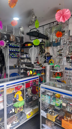 Cra 3 #16-51, Ibagué, Tolima