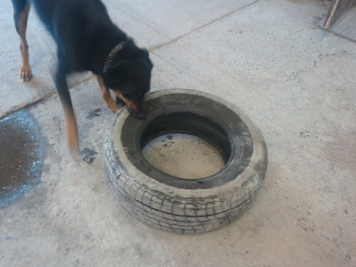 Auto Repair Shop «Middletown Auto Tech», reviews and photos, 2857 Hershey Rd, Elizabethtown, PA 17022, USA