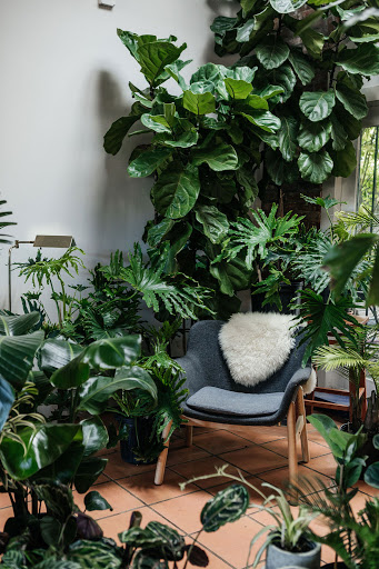 Florist «Fleur de Lis Fresh Flowers», reviews and photos, 516 Selby Ave, St Paul, MN 55102, USA