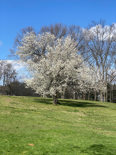 Memorial Park «Boothe Memorial Park», reviews and photos, 5800 Main St, Stratford, CT 06614, USA