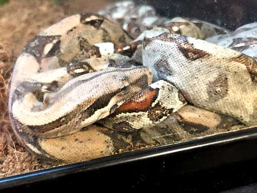 Pet Supply Store «Petco Animal Supplies», reviews and photos, 3110 S Louise Ave, Sioux Falls, SD 57106, USA