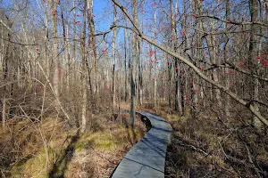 Pruyn Audubon Sanctuary image