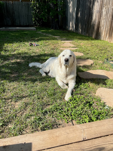 6451 Preston Rd, Frisco, TX 75034, USA