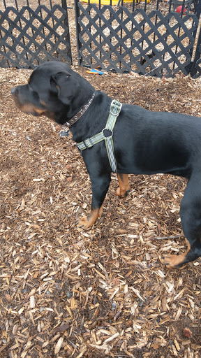 Pet Supply Store «The Hungry Puppy», reviews and photos, 1288 NJ-33, Farmingdale, NJ 07727, USA