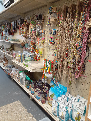 Pet Store «Off The Hook Exotics Pet Shop», reviews and photos, 926 5th Ave, Coraopolis, PA 15108, USA
