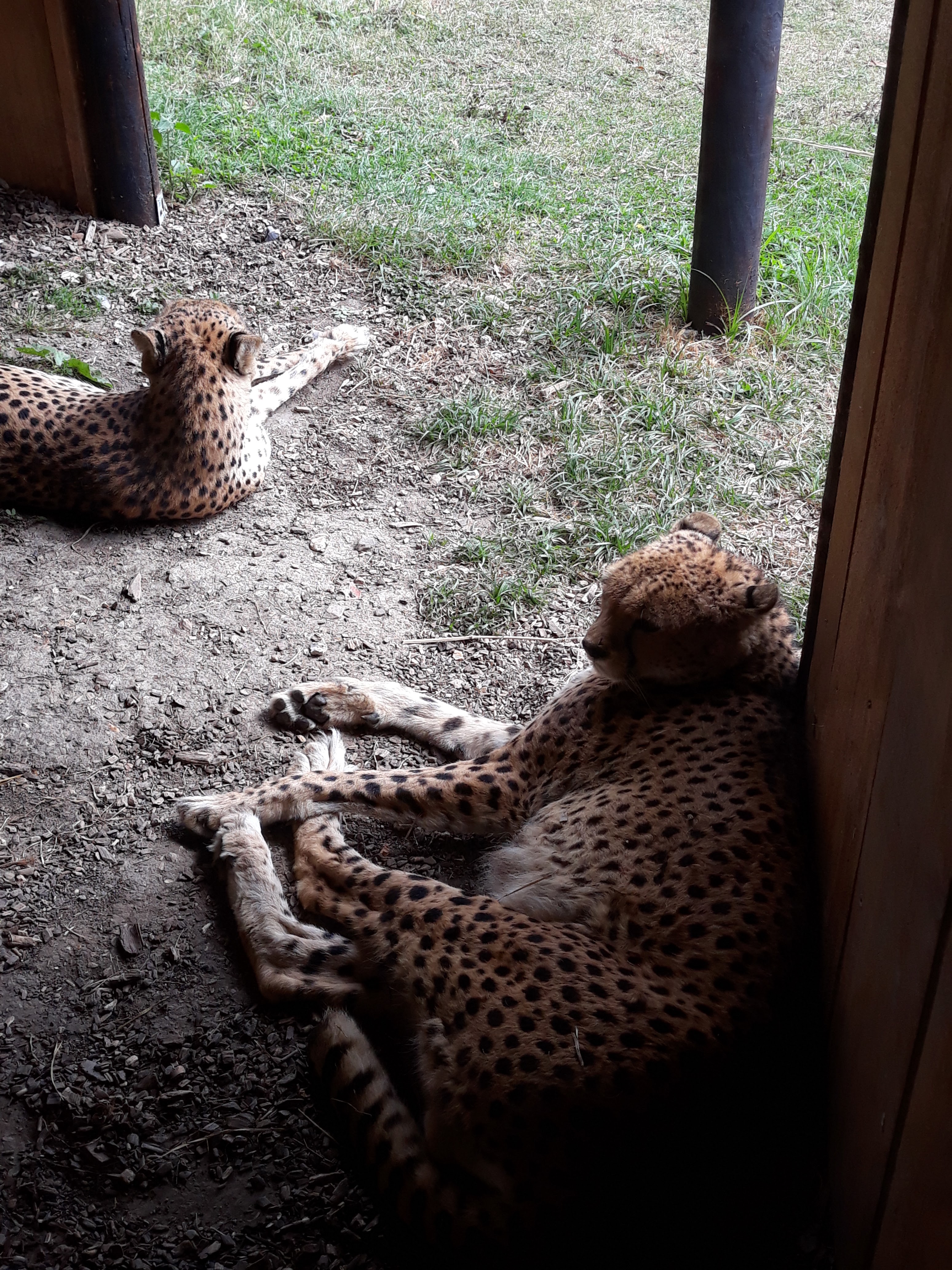 Photo n° 35 de l'avis de Estelle.o fait le 09/08/2018 à 10:25