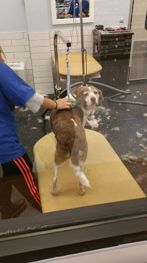 Pet Supply Store «PetSmart», reviews and photos, 3545 Hempstead Bethpage Turnpike, Levittown, NY 11756, USA