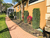 Rued's Property Maintenance - Photo 4 - Car repair in Spring Hill, FL, Spring Hill