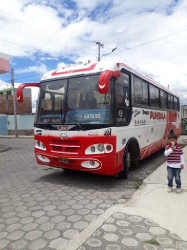 Opiniones de Taxis Wilson Morocho S.A. en Riobamba - Servicio de taxis