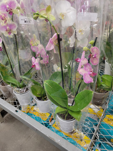 Home Improvement Store «The Home Depot», reviews and photos, 7121 Firestone Blvd, Downey, CA 90241, USA