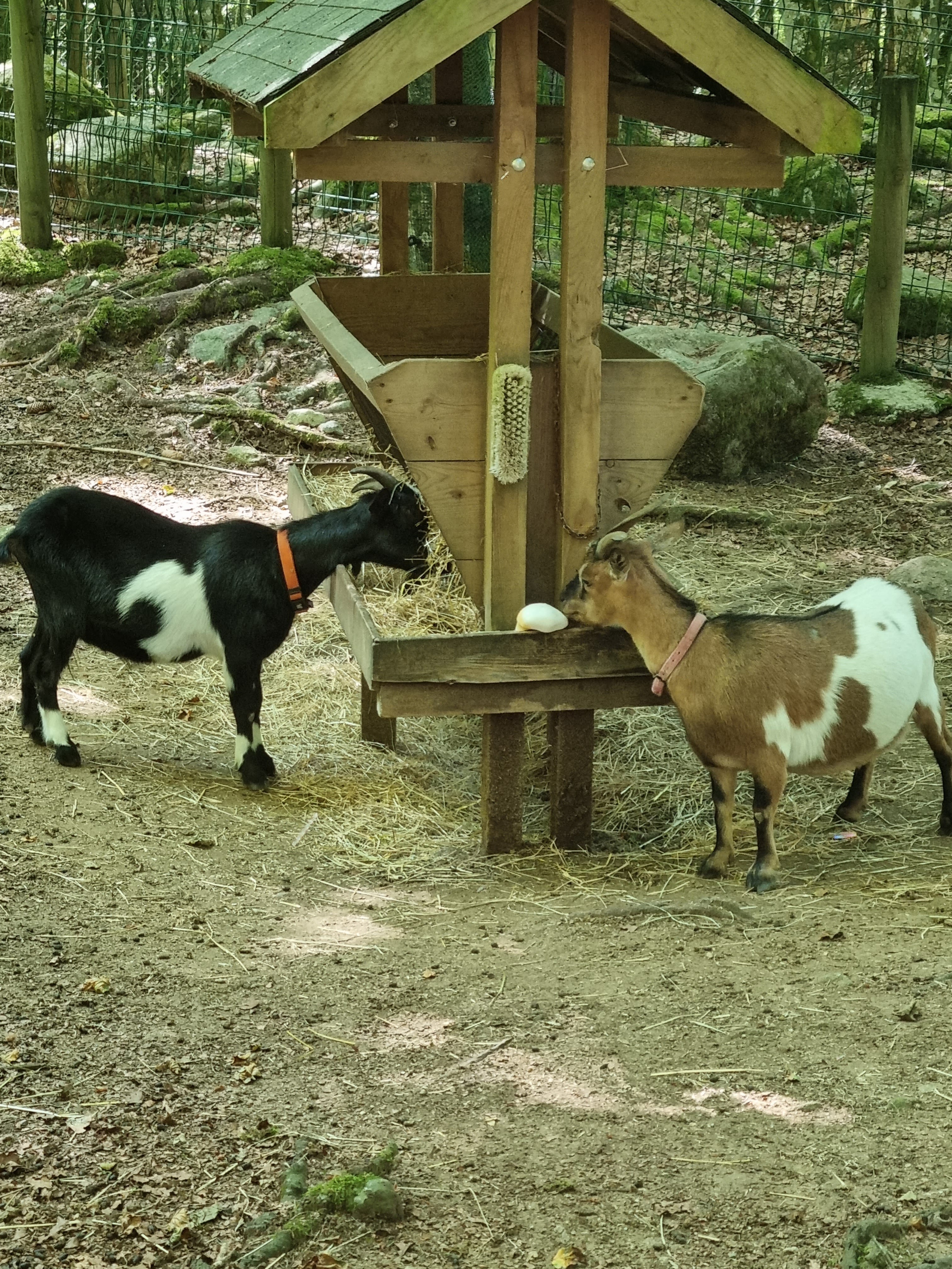 Photo n° 6 de l'avis de p.d fait le 14/07/2023 à 17:06