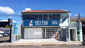 Pet Fox