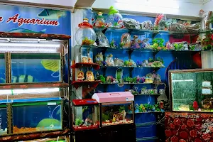 Shree Sarkar Aquarium image
