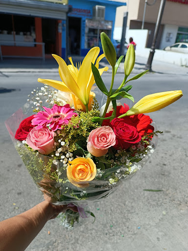 Floreria Dulce Aroma – San Nicolás de los Garza