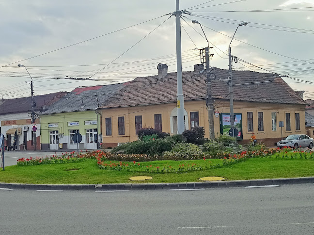 Opinii despre Krav Maga Baia Mare în Baia Mare - Școală