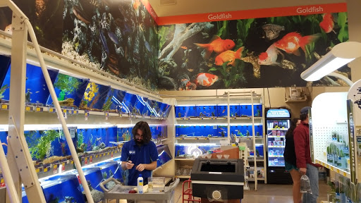 Pet Supply Store «PetSmart», reviews and photos, 16086 Jackson Creek Pkwy, Monument, CO 80132, USA