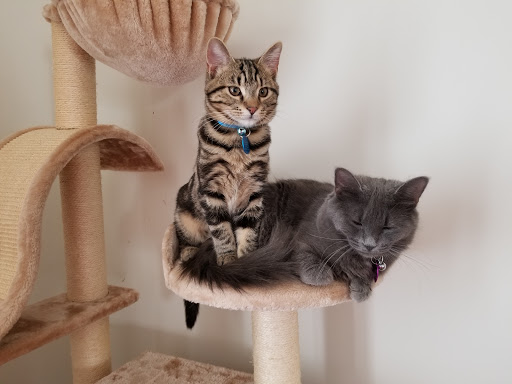 Pet Supply Store «Pet Valu», reviews and photos, 1539 S Pleasant Valley Rd, Winchester, VA 22601, USA