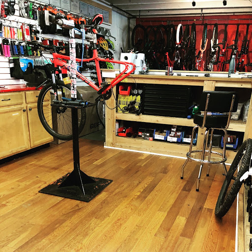 Bicycle Rental Service «Bicycle Hub of Marlboro», reviews and photos, 239 Hwy 79, Morganville, NJ 07751, USA