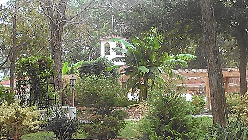 Winery «Paris Winery», reviews and photos, 2982 Harvey Bowden Rd, Paris, TN 38242, USA