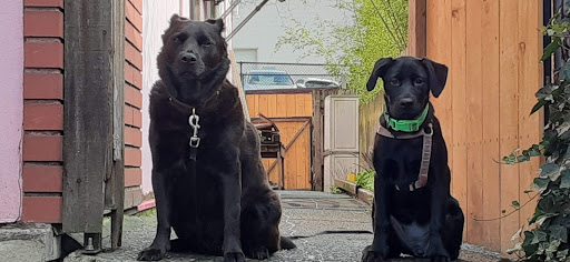 Park «Dr. Jose Rizal Park», reviews and photos, 1007 12th Ave S, Seattle, WA 98144, USA