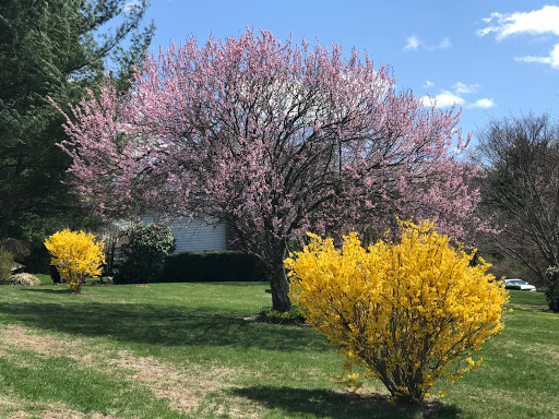 Golf Course «Whitney Farms Golf Course», reviews and photos, 175 Shelton Rd, Monroe, CT 06468, USA