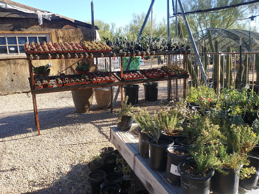 North Scottsdale Nursery & Cactus