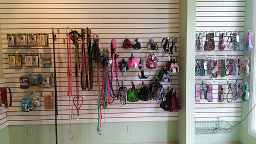 Pet Groomer «Doggie Style Bowtique», reviews and photos, 1713 Westport Rd, Kansas City, MO 64111, USA