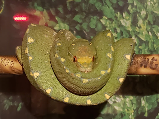 Discount Store «Dollar General», reviews and photos, 610 Bristol Pike, Bristol, PA 19007, USA