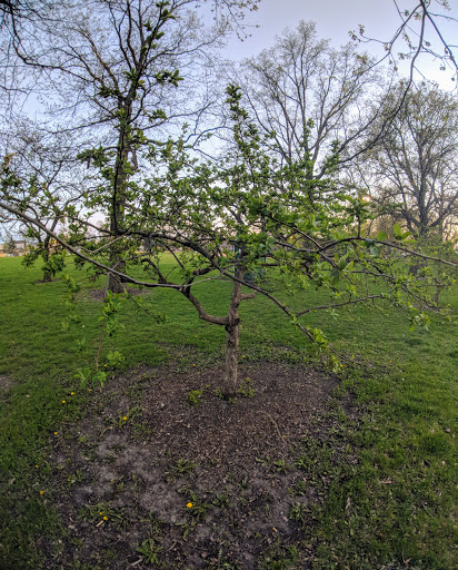 Park «Dunham Park», reviews and photos, 4638 N Melvina Ave, Chicago, IL 60630, USA