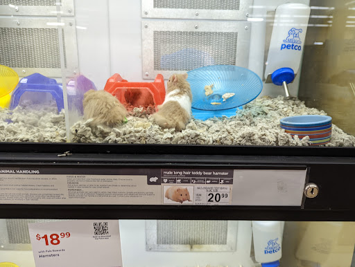 Pet Supply Store «Petco Animal Supplies», reviews and photos, 4475 SW 40th Ave, Ocala, FL 34474, USA