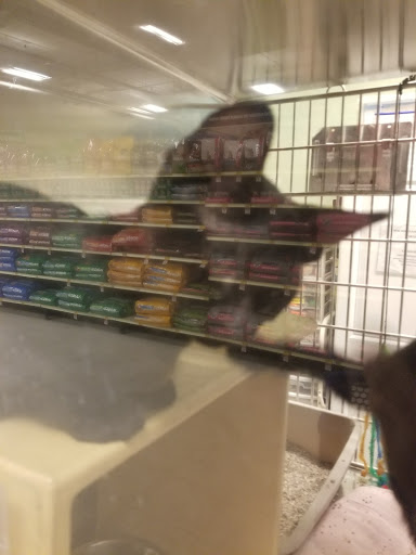 Pet Supply Store «PetSmart», reviews and photos, 1411 S Harbor Blvd, Fullerton, CA 92832, USA
