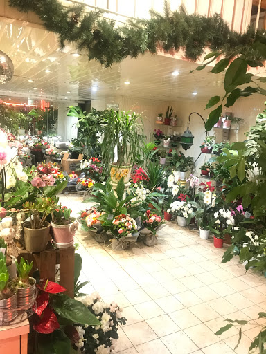 Fleuriste Eden Fleurs