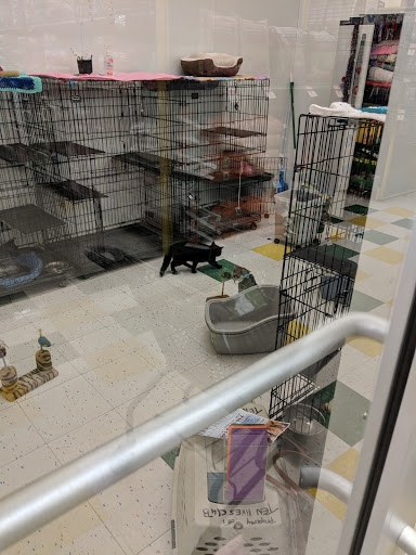 Pet Supply Store «Pet Supplies Plus», reviews and photos, 3733 Union Rd #200, Cheektowaga, NY 14225, USA