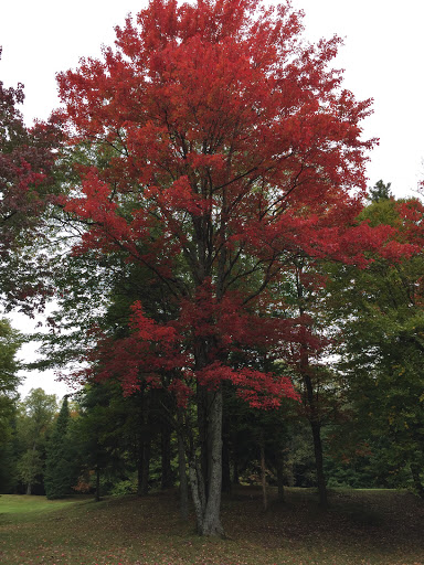 Golf Club «Thendara Golf Club», reviews and photos, 151 Fifth Street, Thendara, NY 13472, USA