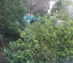 Auberge de Courtrai photo