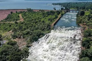 Halali Dam image