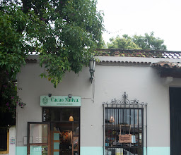 Academia Mexicana del Cacao photo