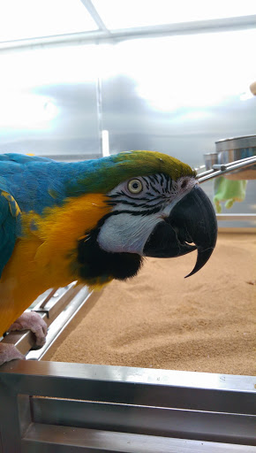 Pet Store «Laconia Pet Center», reviews and photos, 1343 Union Ave, Laconia, NH 03246, USA