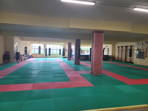 Hapkido lessons Turin