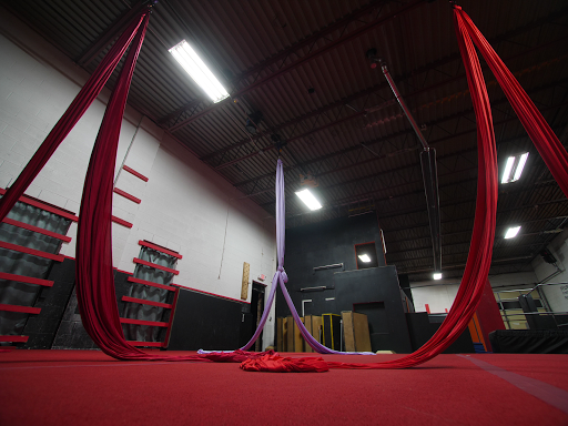 Gym «Phoenix Freerunning Academy», reviews and photos, 12936 Farmington Rd, Livonia, MI 48150, USA
