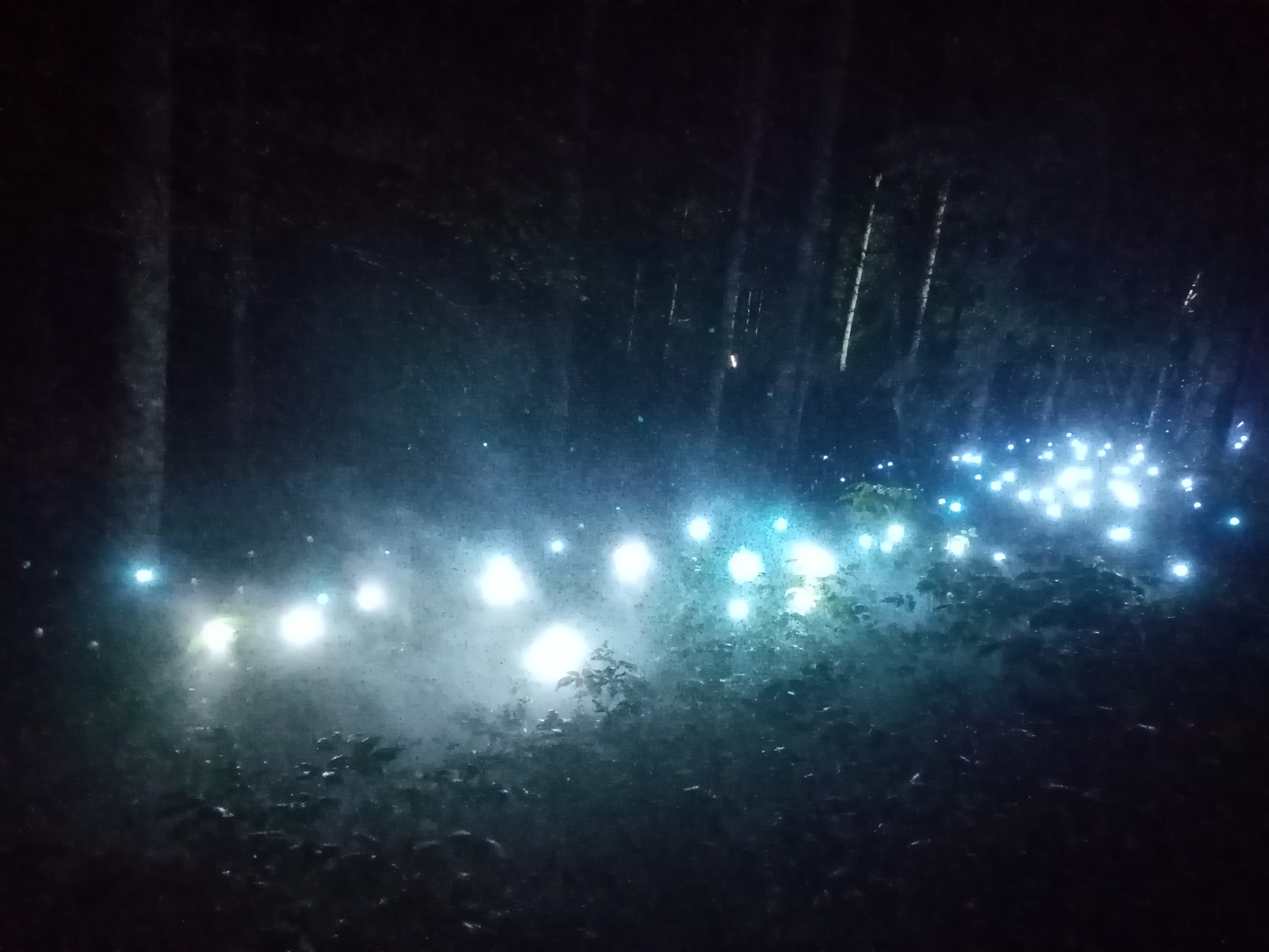 Photo n° 2 de l'avis de Victor.a fait le 17/08/2021 à 21:24