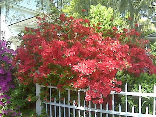 Real Estate Agency «Ballenger Realty», reviews and photos, 613 Carteret St, Beaufort, SC 29902, USA