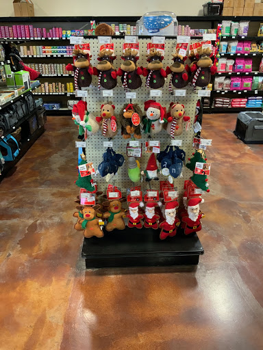 Pet Store «Choice Pet Market», reviews and photos, 2915 W Ray Rd, Chandler, AZ 85224, USA