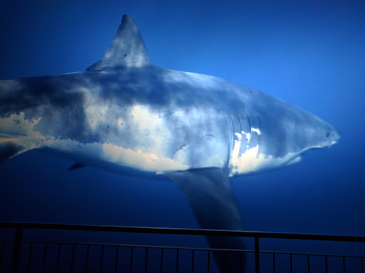 Imax Theater «Simons IMAX Theater», reviews and photos, 1 Central Wharf, Boston, MA 02110, USA