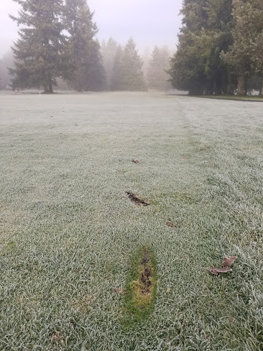 Golf Course «Eagles Pride Golf Course», reviews and photos, 116 I-5, Tacoma, WA 98433, USA