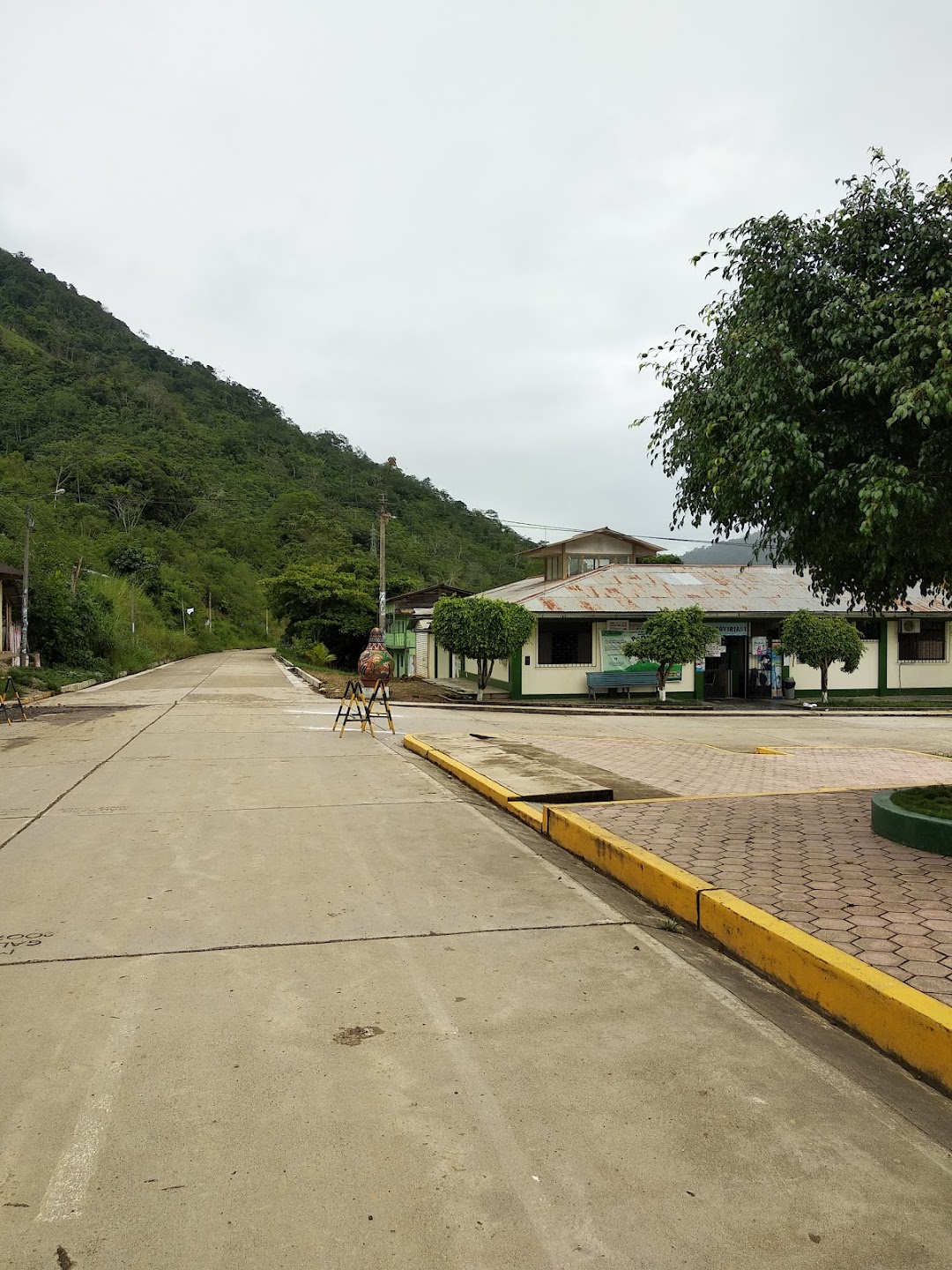 Municipalidad Distrital de Coviriali