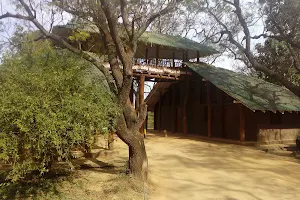 Udawalawe National Park image