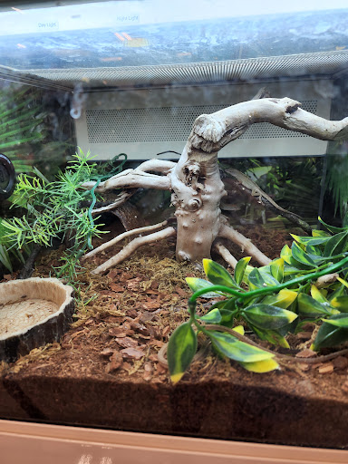 Pet Supply Store «PetSmart», reviews and photos, 47142 Michigan Ave, Canton, MI 48188, USA